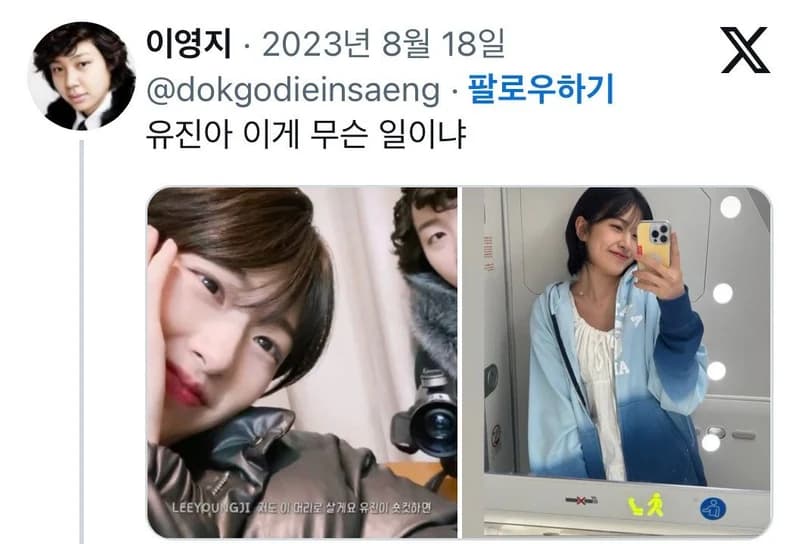Image Source_twitter|dokgodieinsaeng&nbsp;&nbsp;