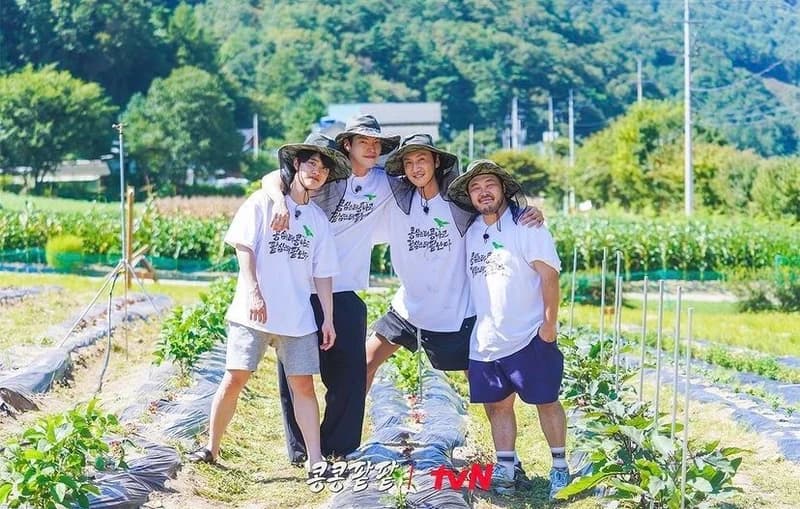 Image Source l tvn_joy