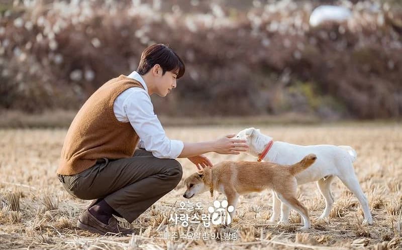 Image Source l mbcdrama_now