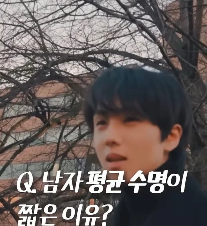 Image Source l  네오하우스