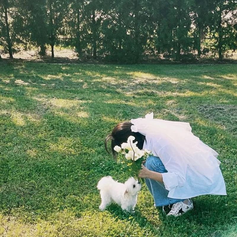 Image Source：instagram | ahnanihh