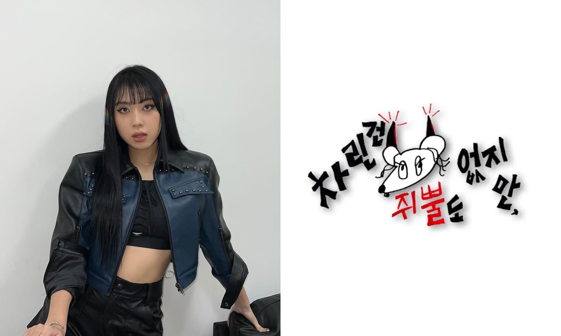 李泳知宣布《雖沒菜》強勢回歸！時隔一年製作第三季網卻憂：還有什麼看頭？