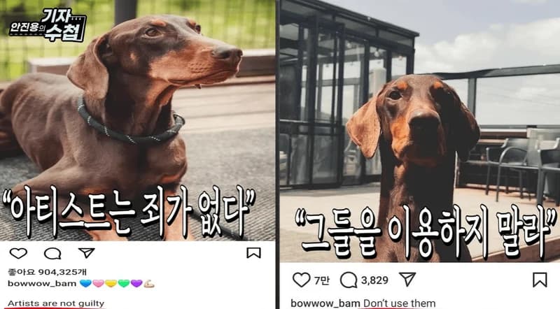 Image Source：instagram |&nbsp;bowwow_bam