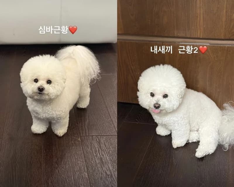 圖片來源：IG@bn_sj2013