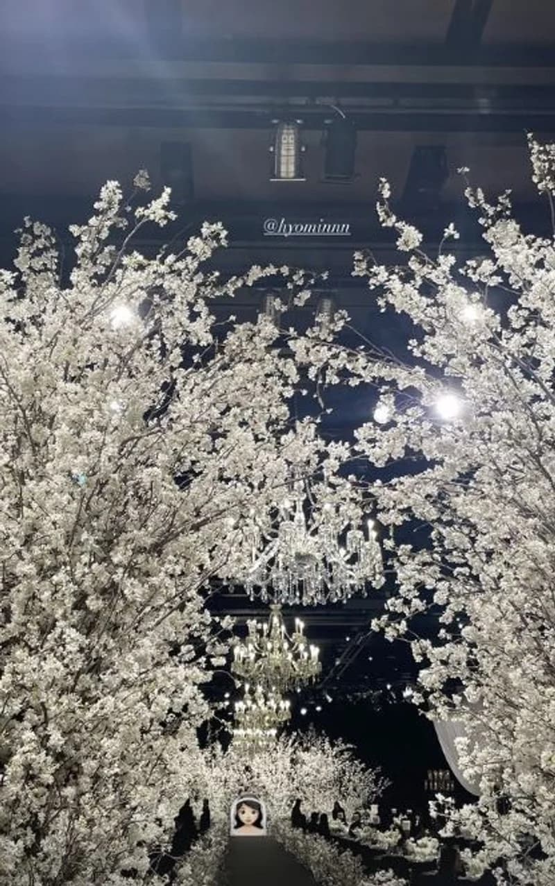 圖片來源：IG@qtfreet
