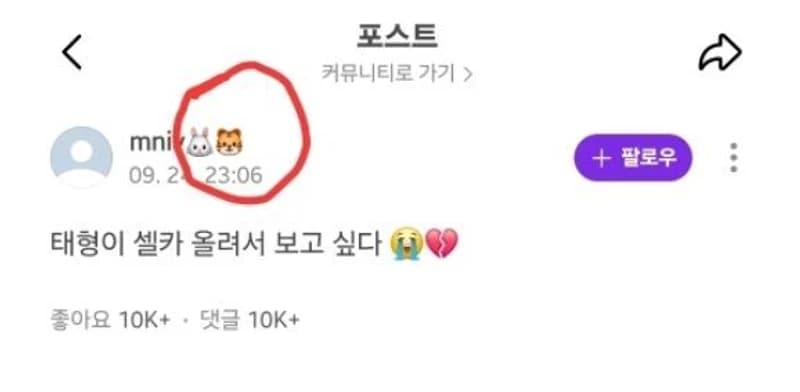 圖片來源：Instiz