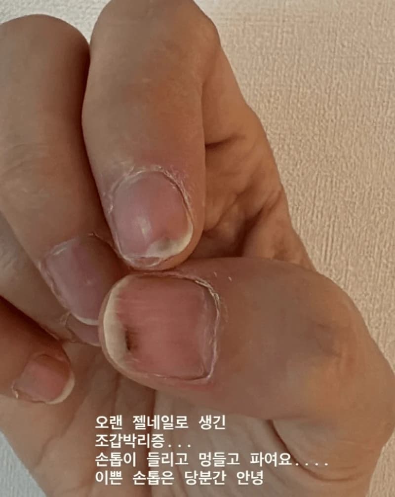 圖片來源：IG@greentee.park