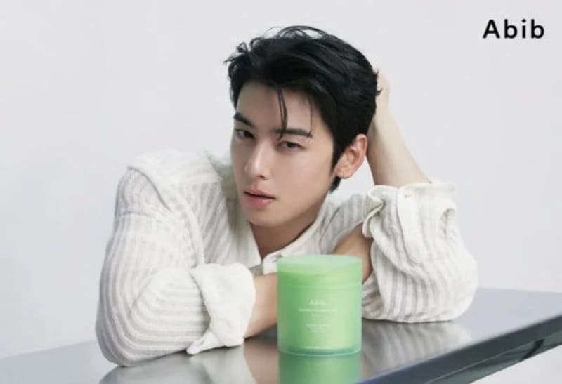 圖片來源：Abib
