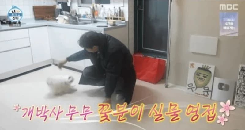 圖片來源：MBC《我獨自生活》