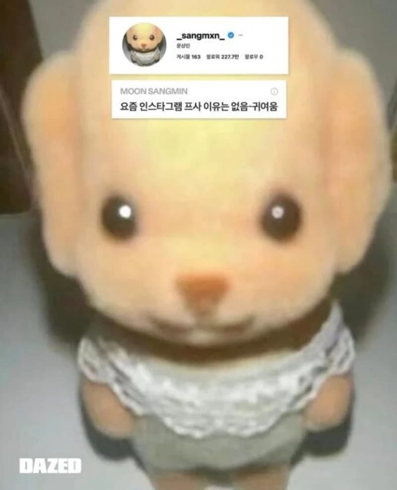 圖片來源:IG@_sangmxn_