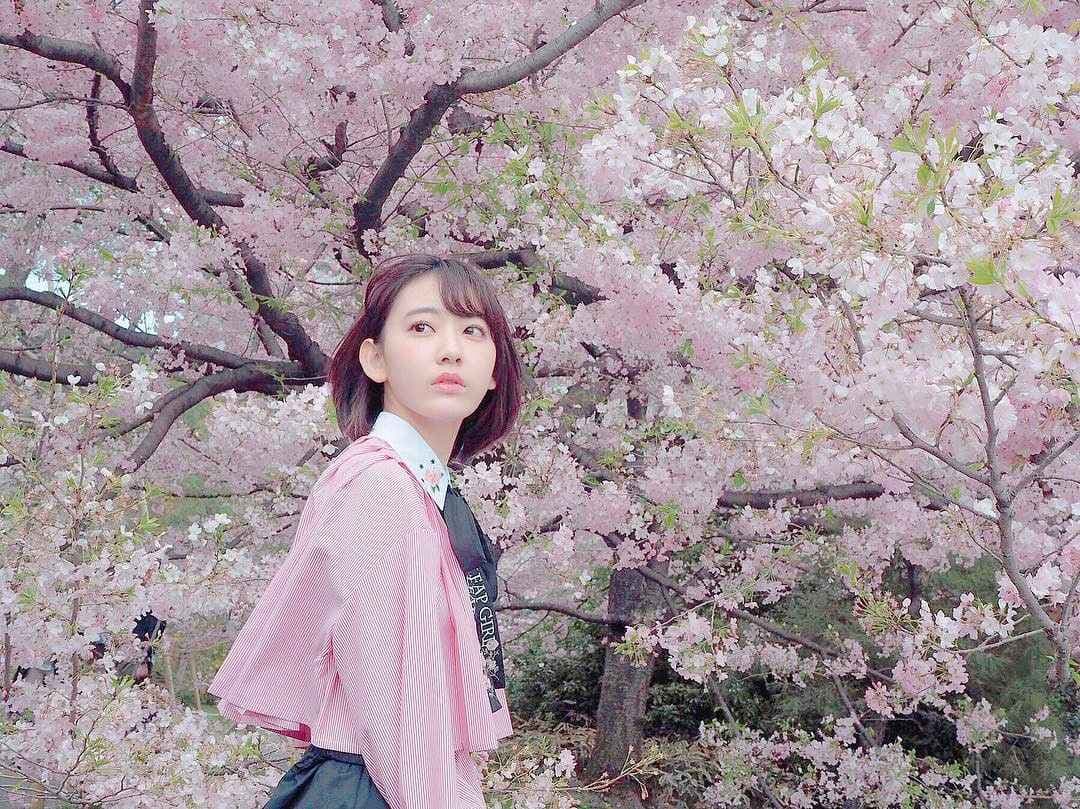 Image Source Facebook | official.izone