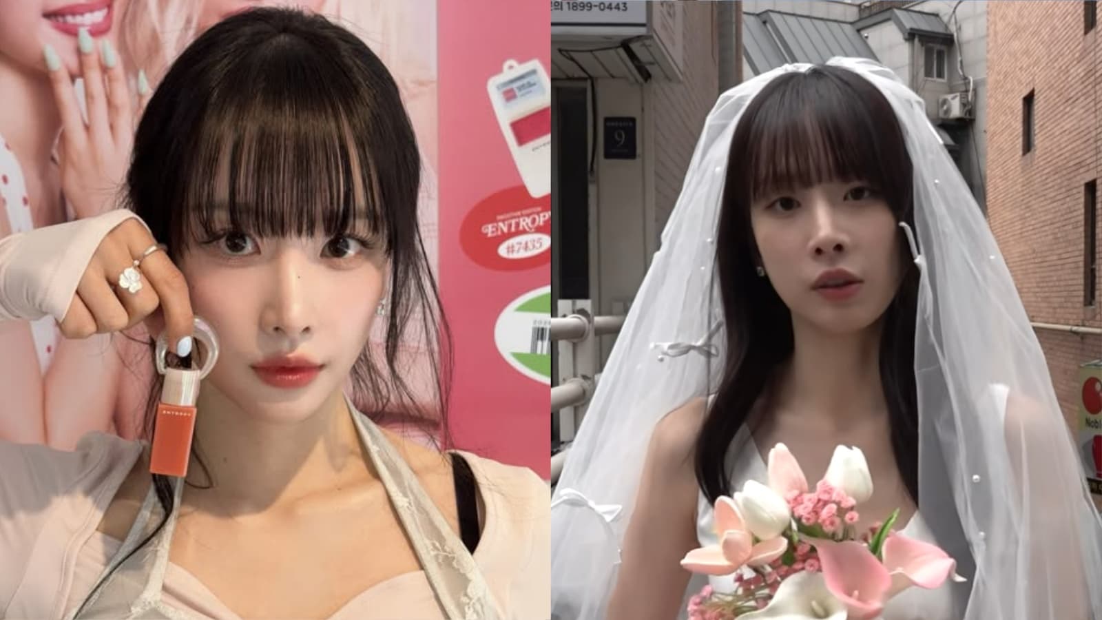 出道10年突闖婚姻介紹所！宇宙少女雪娥僅評「B級」 首談結婚生子心聲