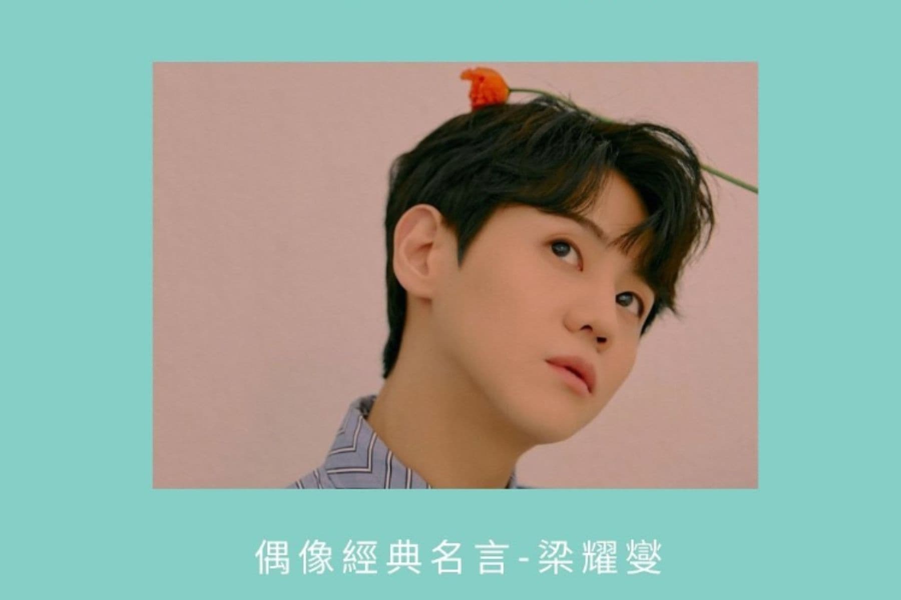 【<mark>偶像</mark>金句】Highlight 梁耀燮
