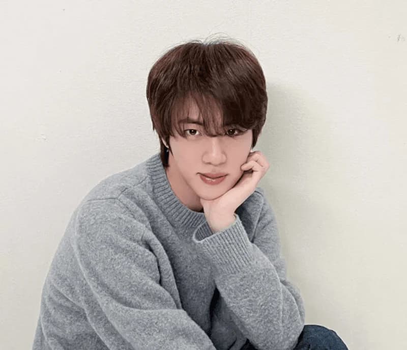 Image Source l JIN IG