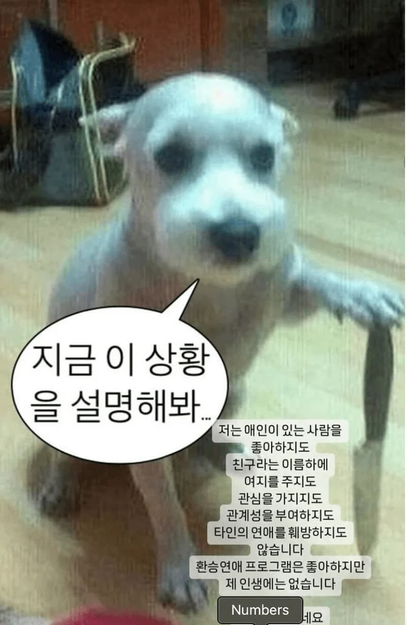 Image Source l xeesoxee