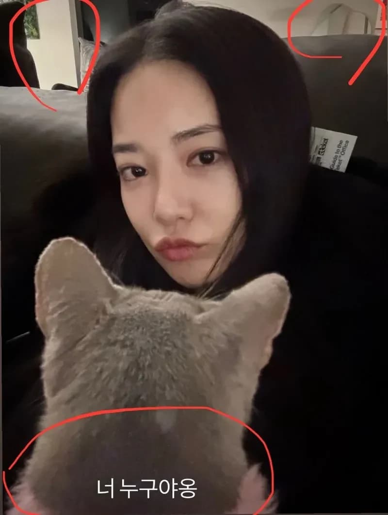 圖片來源:網絡圖片
