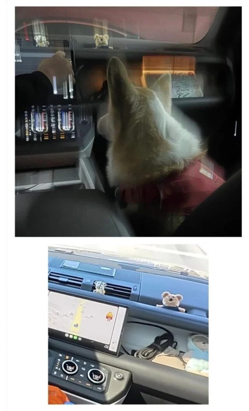 圖片來源:網絡圖片
